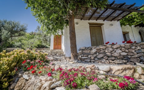 Terraced outdoor areas, some shaded